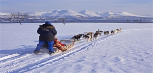 Dog sledding by Bard Loken - VisitTromso